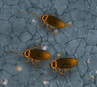 Wood mites deals