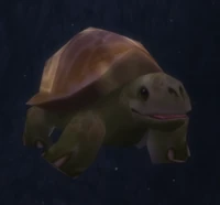 Image of Child of Tortolla