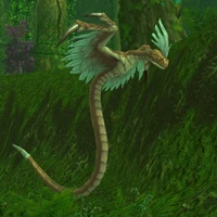 Image of Arash-ethis