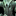 IconSmall MawCaster.gif