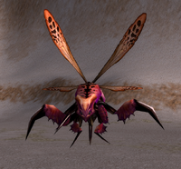 Image of Silithid Flayer