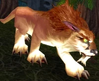 Image of Amani Elder Lynx
