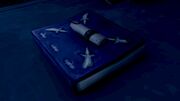 Blue Book