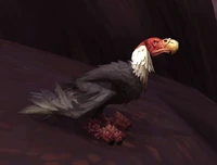 Image of Bonepicker Scavenger