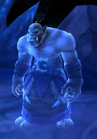Image of Echo of Ner'zhul