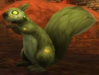 Image of Infected Squirrel