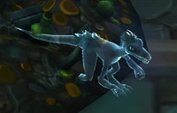 Image of Aspect of Jani