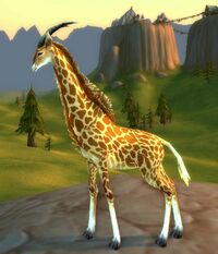 Image of Giraffe Calf