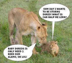 Baby-durid.jpg