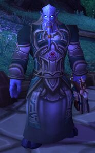 Image of Elodor Anchorite