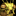 IconSmall Mantid.gif