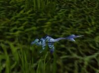 Image of Lizard Hatchling