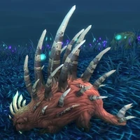 Image of Needleback Porcupine