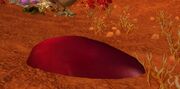 Raptor Blood