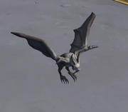 Stoneskin Dredwing Pup