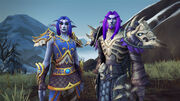 Night Warrior Night Elf Customizations