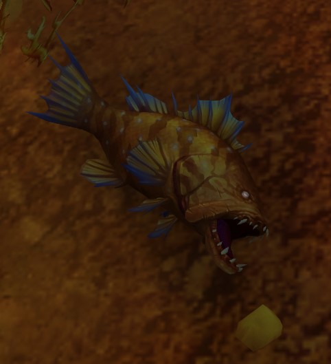 Bristle Whisker Catfish (NPC) - Wowpedia - Your wiki guide to the World of  Warcraft