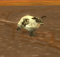 Image of High Explosive Sheep