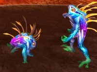 Image of Rockpool Gladiator