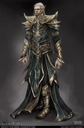 High elf