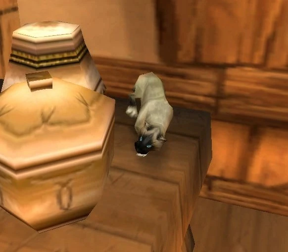 Siamese