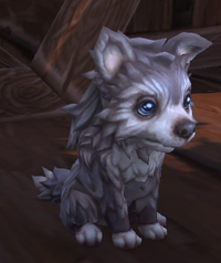 Image of Hank