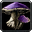 Inv mushroom 06