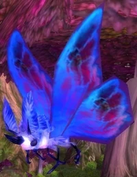 Image of Forest Moth