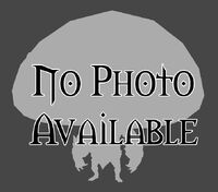 No image available