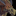 IconSmall Dragonman.gif