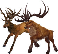 Stag.png
