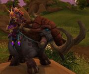 Trained Meadowstomper.