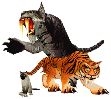 Cats