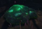 Plague Refuse