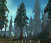 Silverpine Forest day.jpg
