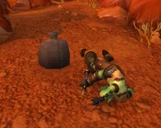 The Injured Adventurer and her undelivered Bag of Cactus Apples.