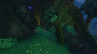 Orb 3: Find small tree next to a big tree; enter at the leaves