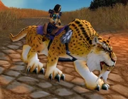 Reins of the Leopard