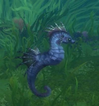 Image of Baby Seastrider