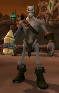 Image of Chosen Outfitter