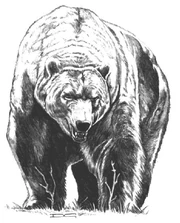 A dire bear seen in 