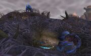 Dread raven nest