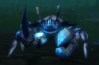 Image of Emperor Crab