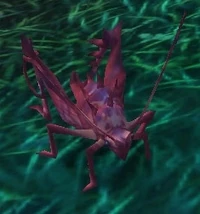 Image of Grassland Hopper