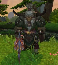 Image of Ordon Fire-Watcher