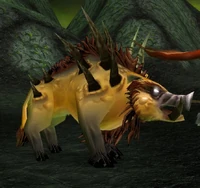 Image of Domesticated Felboar