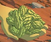 Indellium hops