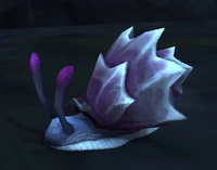 Image of Amethyst Spireshell