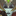 IconSmall San'layn Queen.gif