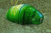 Image of Silithid Grub